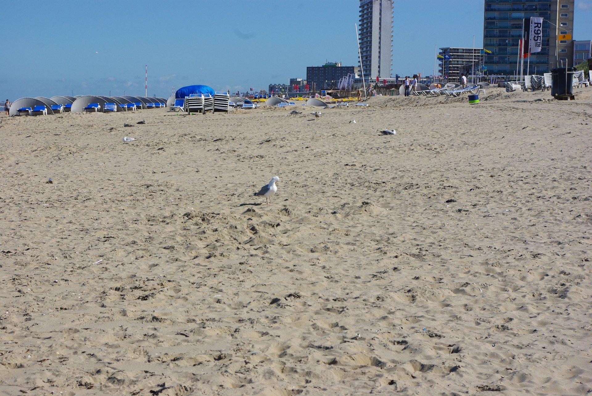 je l'ai enfin trouvé cette satanée plage ! (4161)
