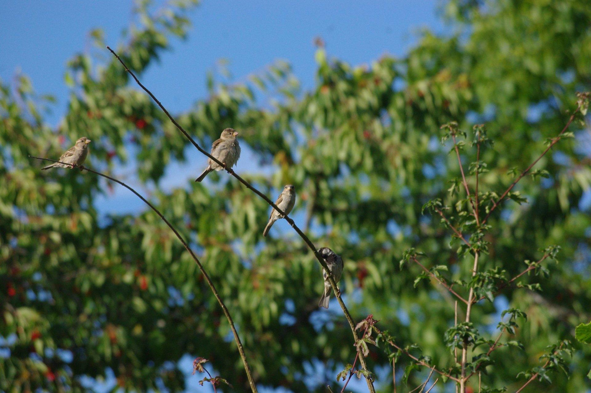 Equilibristes ? (0648)